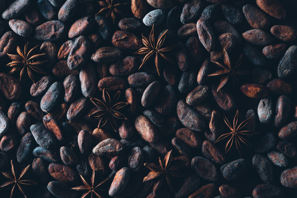 volledige frame weergave van heerlijke stukjes cacaobonen en steranijs achtergrond  - Foto, afbeelding