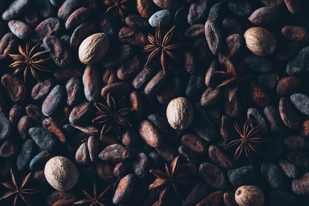 vista de marco completo de deliciosos granos de cacao y fondo de anís estrellado
  - Foto, imagen
