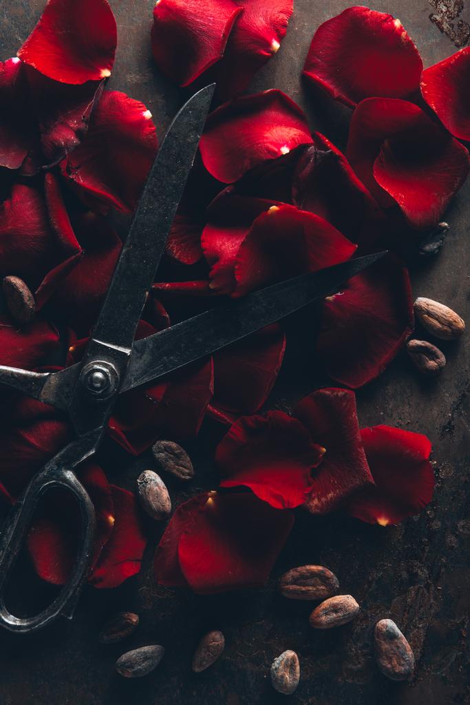 bovenaanzicht van vintage schaar, rode rozenblaadjes en stukjes cacaobonen op donkere ondergrond - Foto, afbeelding