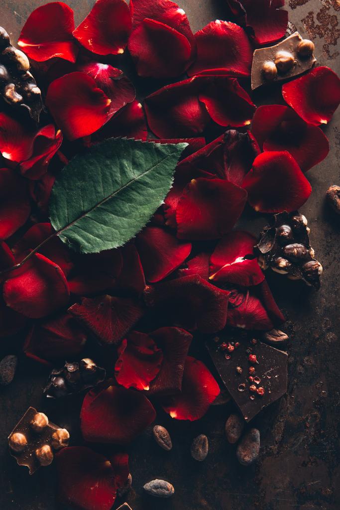 το Top view όμορφο κόκκινο ροδοπέταλα, πράσινα φύλλα και γκουρμέ σοκολάτας με φουντούκια  - Φωτογραφία, εικόνα