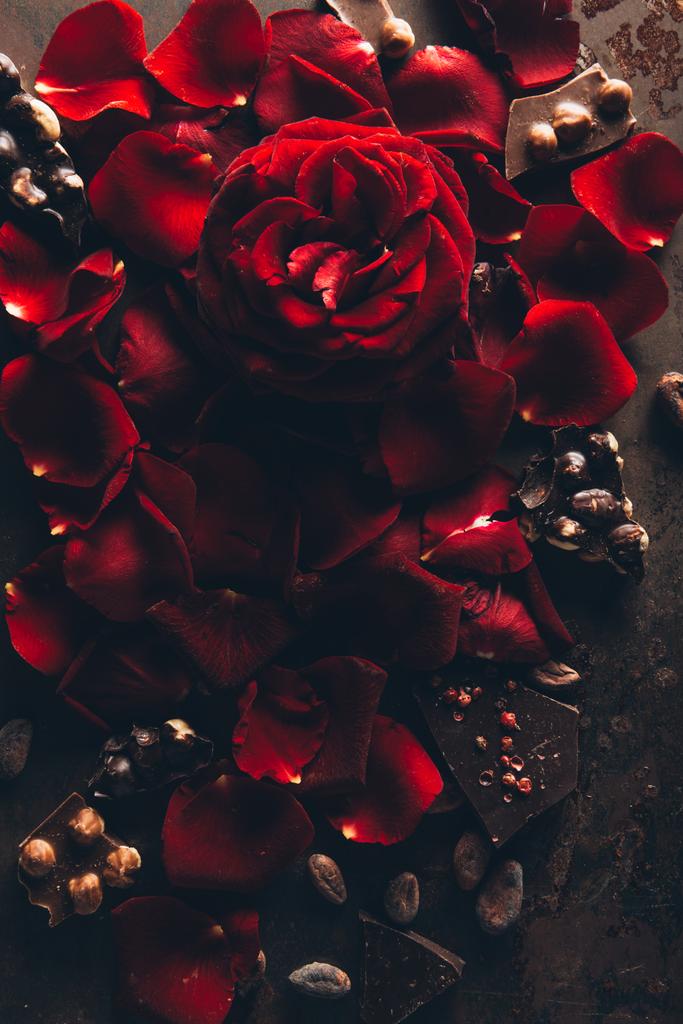 Blick von oben auf schöne rote Rosenblätter und Gourmet-Schokolade mit Haselnüssen   - Foto, Bild