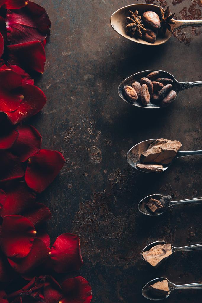 Blick von oben auf Löffel mit Schokoladenstücken, Kakaobohnen und Sternanis und roten Rosenblättern auf dunkler Oberfläche - Foto, Bild