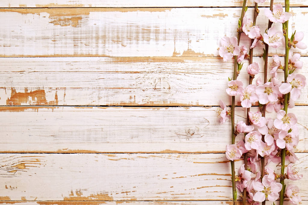 Beautiful spring composition with flowering blossoms on wooden background with copy space for text. Mother's day greeting concept. - Photo, Image