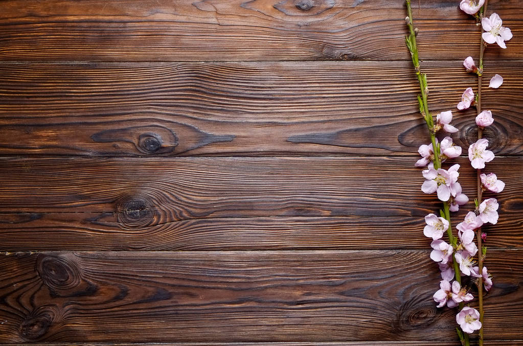 Piękna wiosna skład z kwitnienia kwiaty na podłoże drewniane z miejsca kopiowania tekstu. Koncepcja kartki dzień matki. - Zdjęcie, obraz