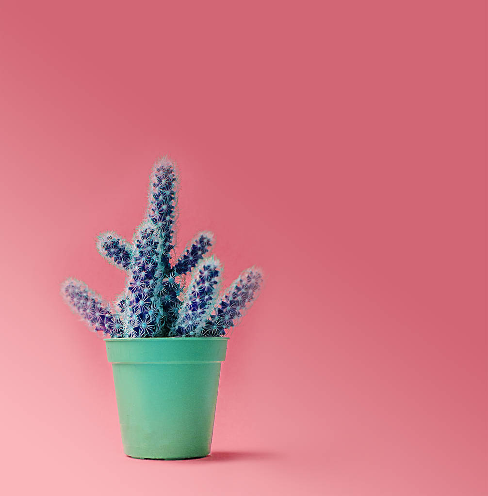 Cactus en un diseño de moda en maceta.Estilo de arte pop minimalista de moda y fondo de colores pastel
 - Foto, imagen