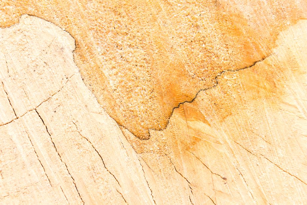 Conceito de madeira e carpintaria com superfície de madeira serrada
 - Foto, Imagem