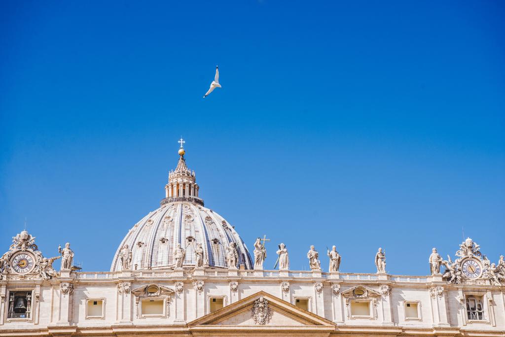 kyyhkynen lentää kuuluisan Pyhän Pietarin basilikan yllä, Vatikaani, Italia
 - Valokuva, kuva