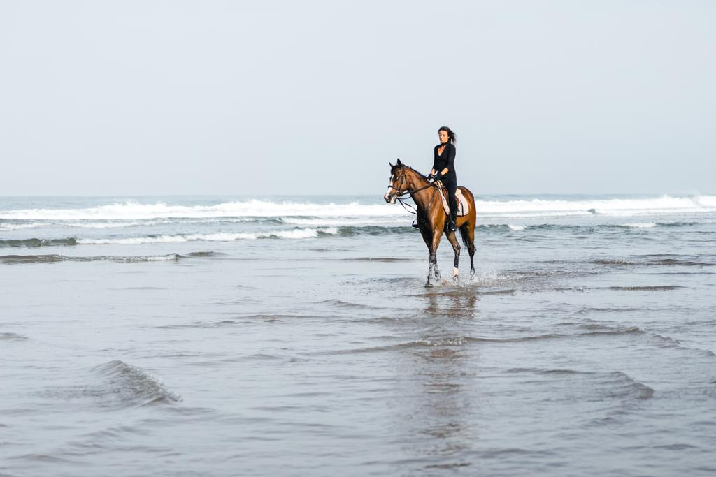 kadın binicilik binicilik atı suya uzak görebilmek  - Fotoğraf, Görsel