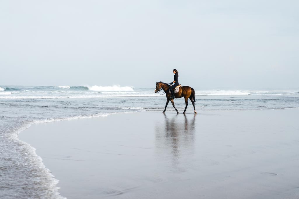 μακρινή θέα άλογο θηλυκό ιππασίας ιππασίας σε αμμώδη παραλία  - Φωτογραφία, εικόνα