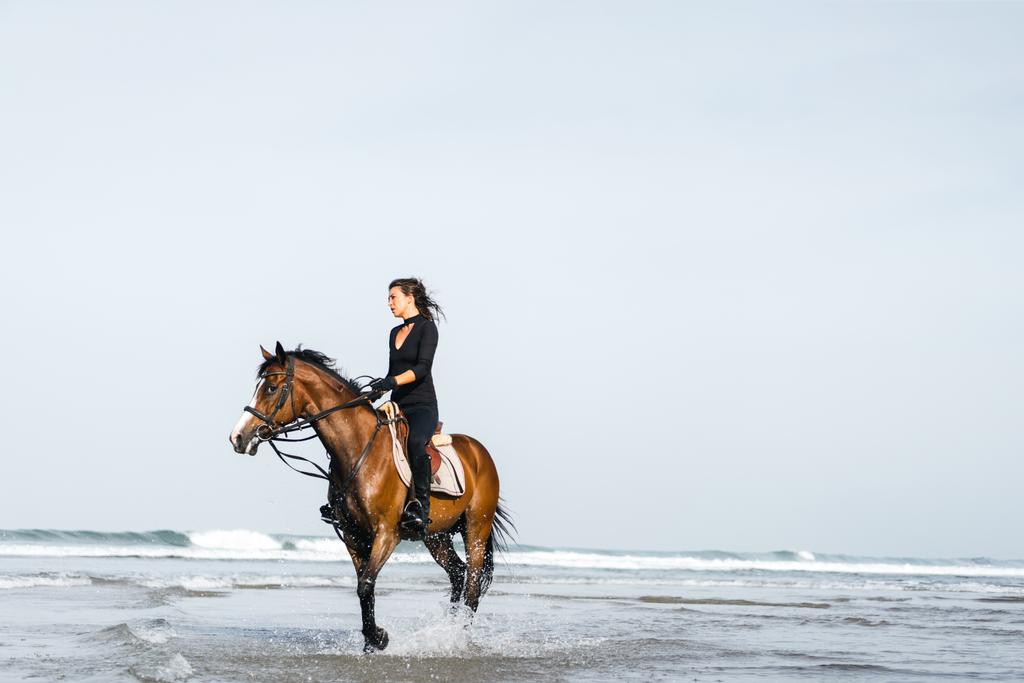 ウェーブのかかった水で馬に乗って若い女性馬術 - 写真・画像