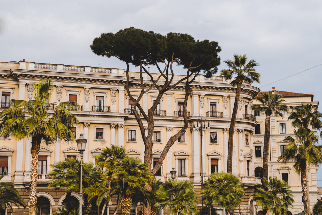 ヤシの木およびローマ イタリアの古い建物 ロイヤリティフリー写真 画像素材