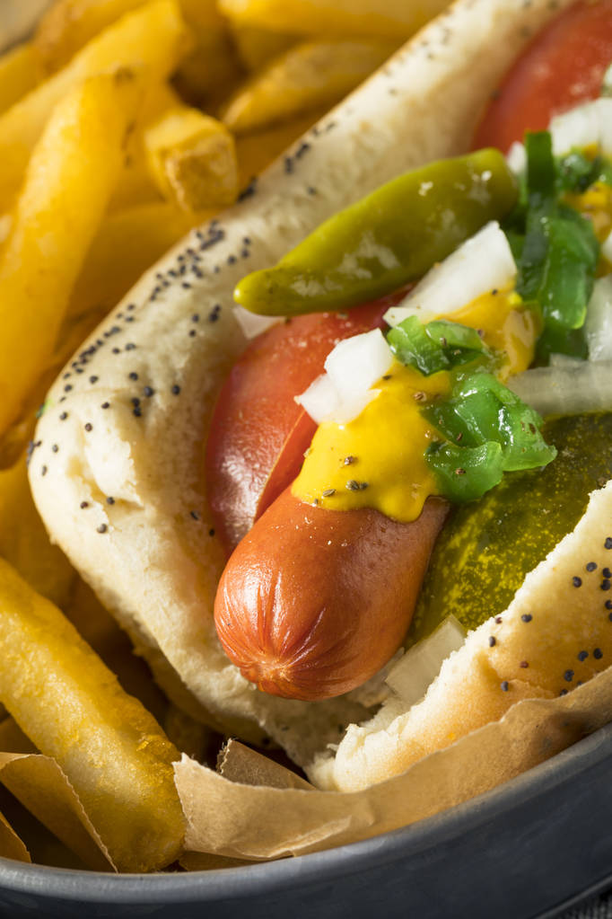 Kotitekoinen Chicago Style Hot Dog sinapilla
 - Valokuva, kuva