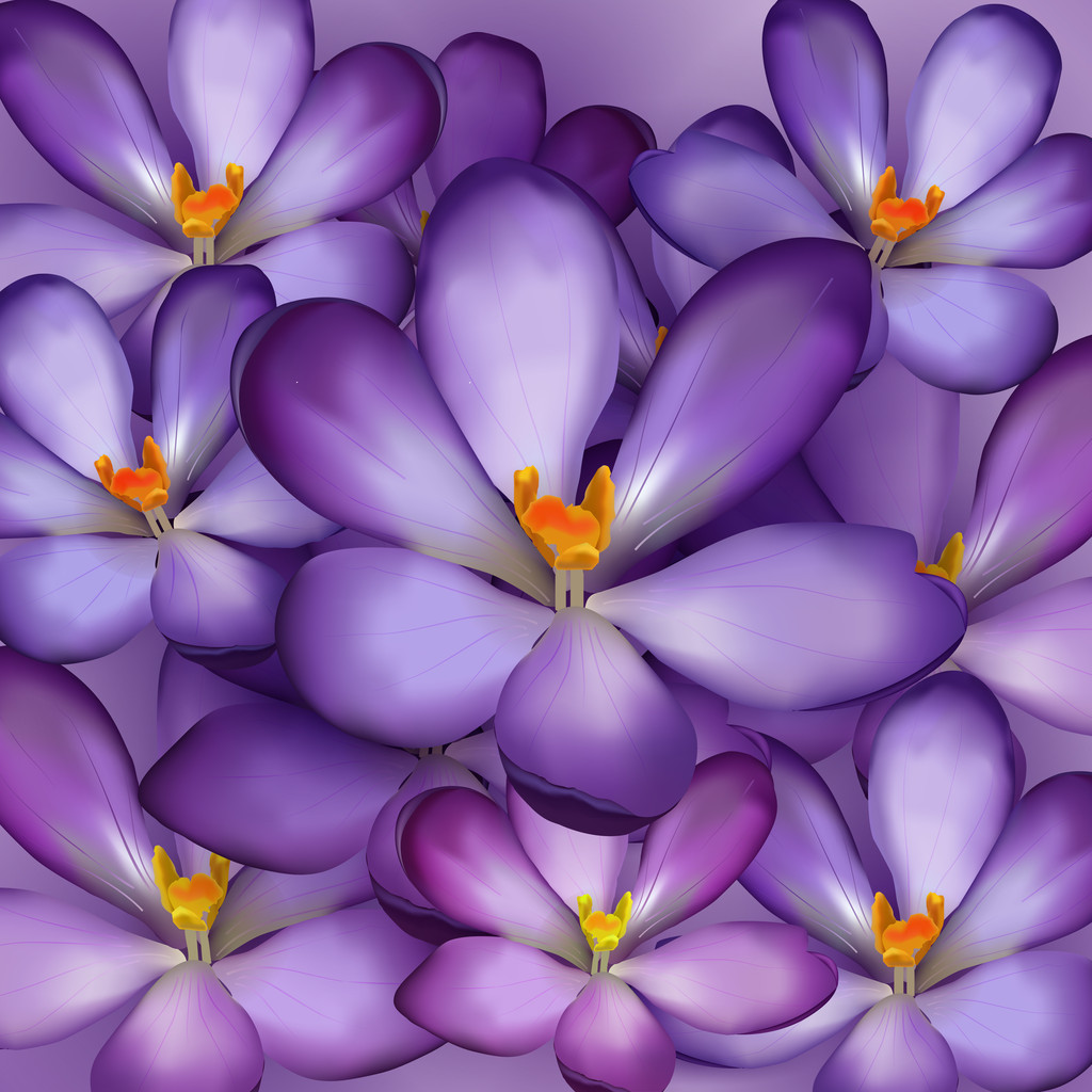Seamless pattern with violet flowers - vector illustraton - Vector, Image