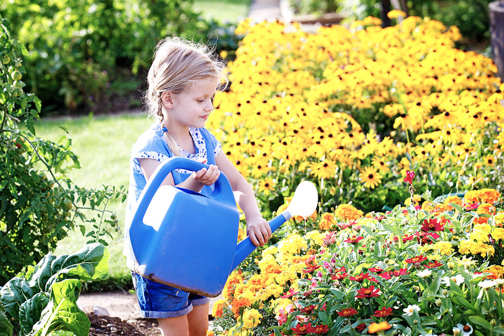 Kind gießt Blumen - Foto, Bild