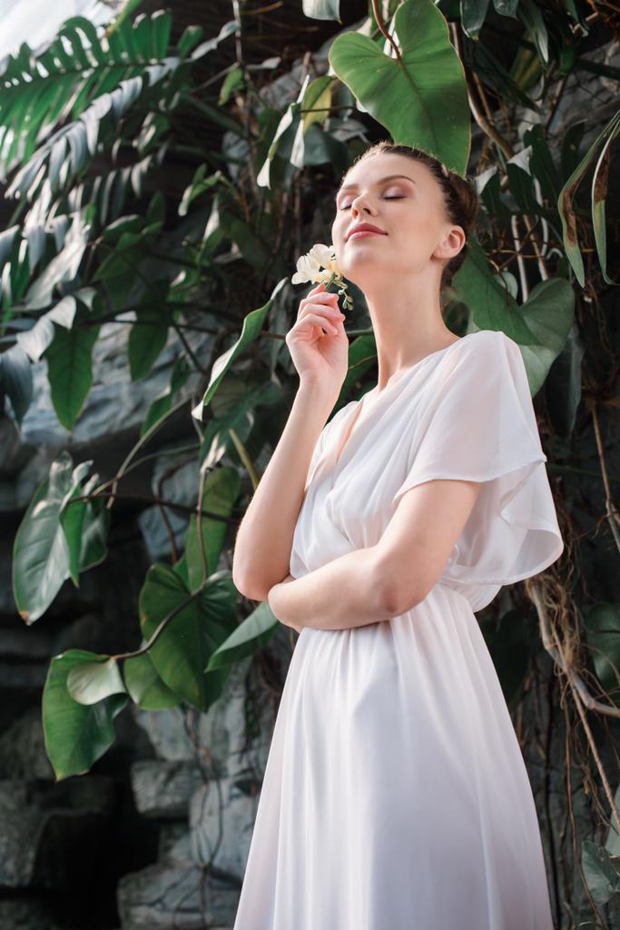 bela noiva em vestido branco com flor no cabelo posando no jardim tropical
 - Foto, Imagem