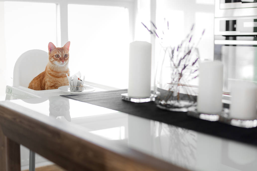 赤い髪のかわいい猫、かぎ針編みの前に白い椅子の白いテーブルに座っているし、ケーキが彼の足を引っ張る - 写真・画像