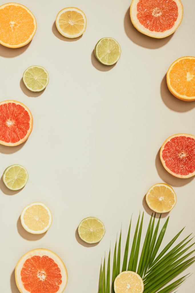 pełna klatka obrazu z liść palmowy, plastry, grejpfruty, limonki, cytryny i orange na białym tle - Zdjęcie, obraz