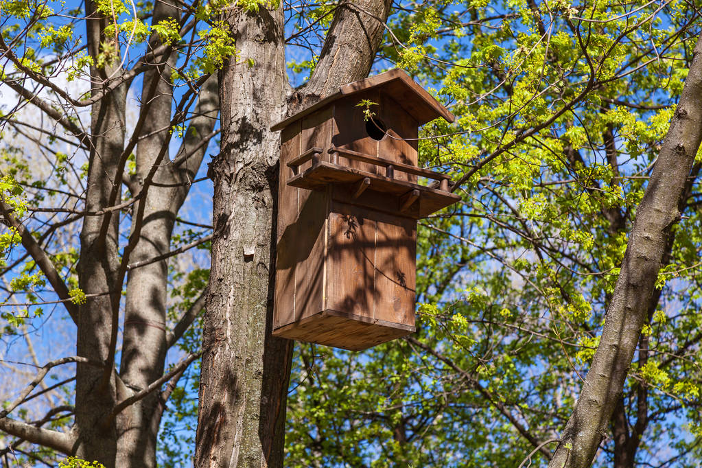 puinen linnunpönttö puussa - Valokuva, kuva