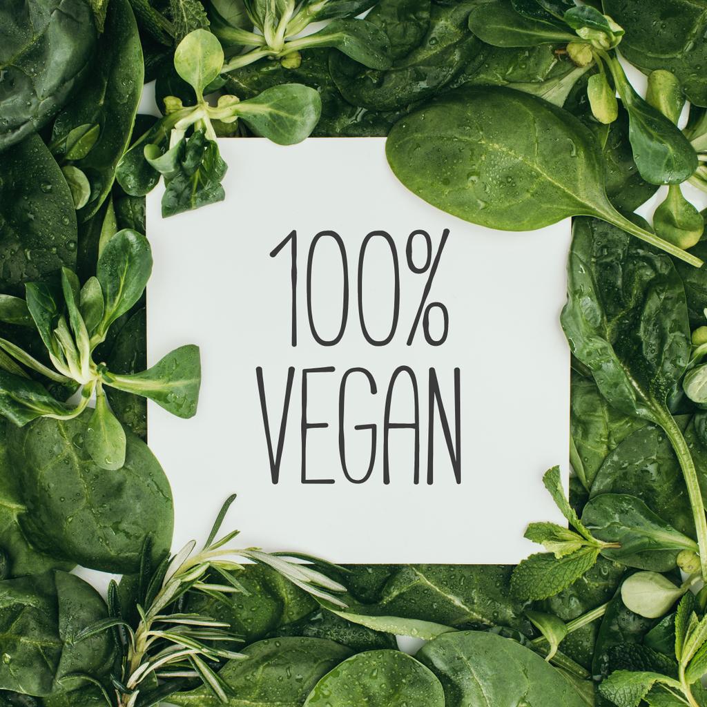 Beyaz kart ve ıslak yeşil yaprakları üzerinde yüzde 100 vegan yazıt - Fotoğraf, Görsel