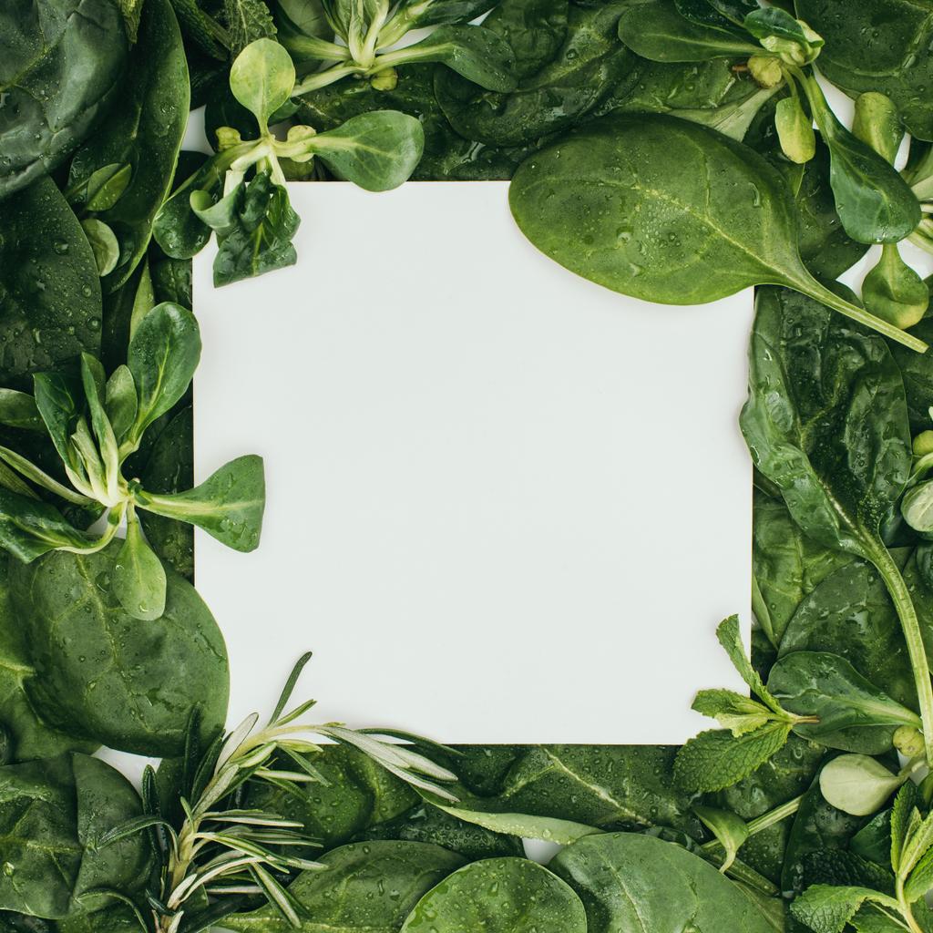 az üres fehér kártya és gyönyörű friss zöld levelek és növények felülnézet - Fotó, kép