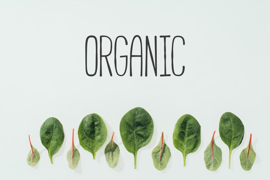 krásné zelené listy a nápis organických Grey - Fotografie, Obrázek