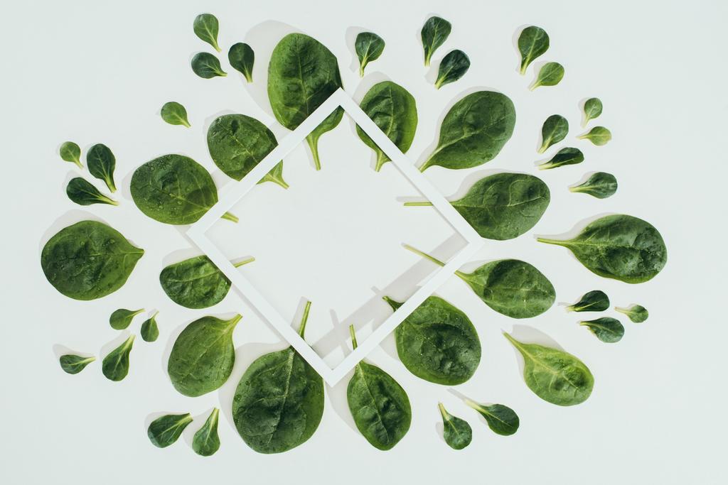 top view of beautiful fresh green spinach leaves and white rhombus frame with copy space on grey - Photo, Image