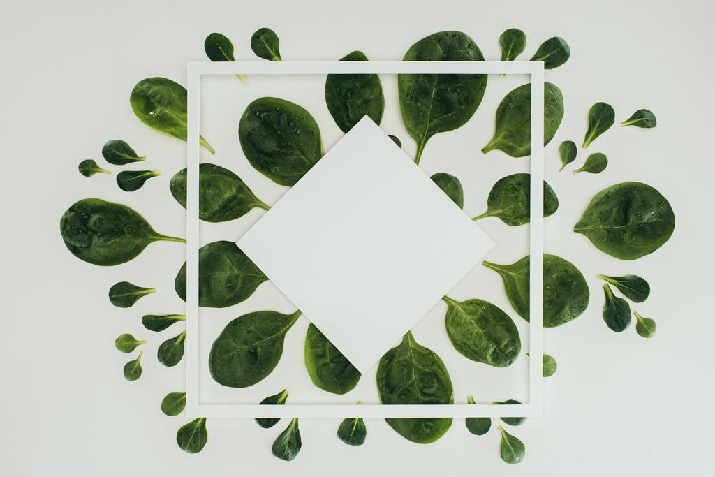 Draufsicht auf schöne frische grüne Blätter, weißes Quadrat und Raute mit Kopierraum auf grau - Foto, Bild