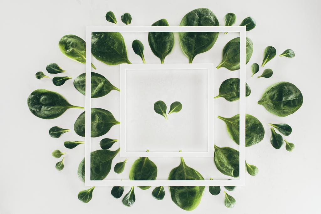 vista superior de quadros quadrados brancos e folhas de espinafre verde fresco em cinza
  - Foto, Imagem