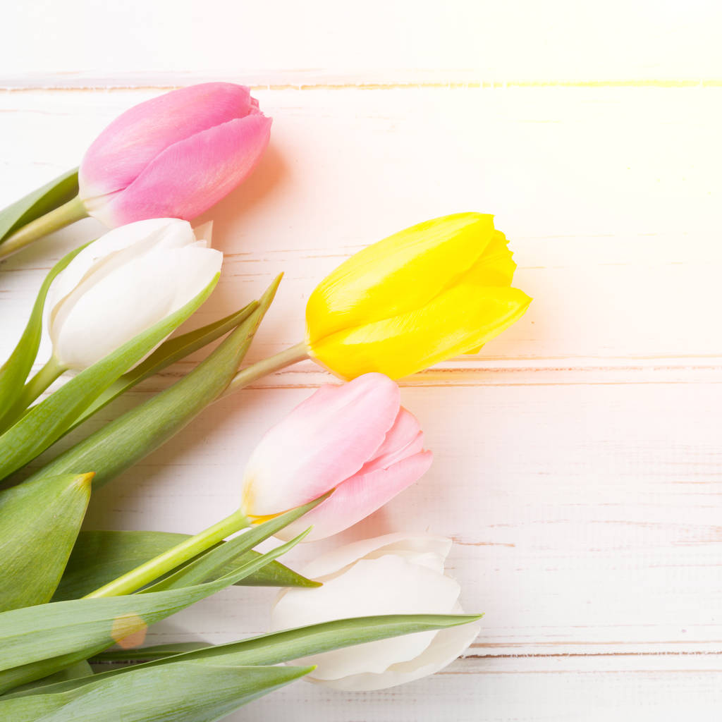bukiet tulipanów fioletowy, żółty i biały na tle drewnianych - Zdjęcie, obraz