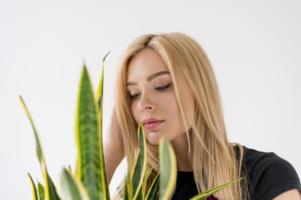 vue rapprochée de belle jeune femme regardant la plante d'intérieur verte isolée sur gris
 - Photo, image