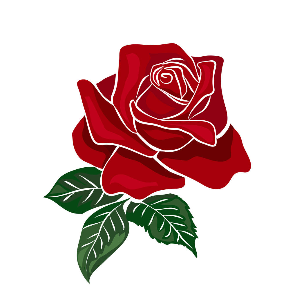 vörös rózsa - Vektor, kép
