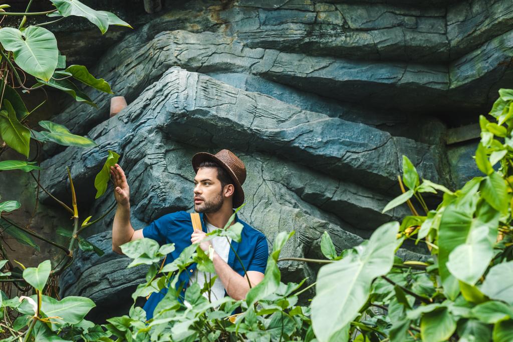 handsome young man in stylish clothes and straw hat hiking in rainforest - Photo, Image