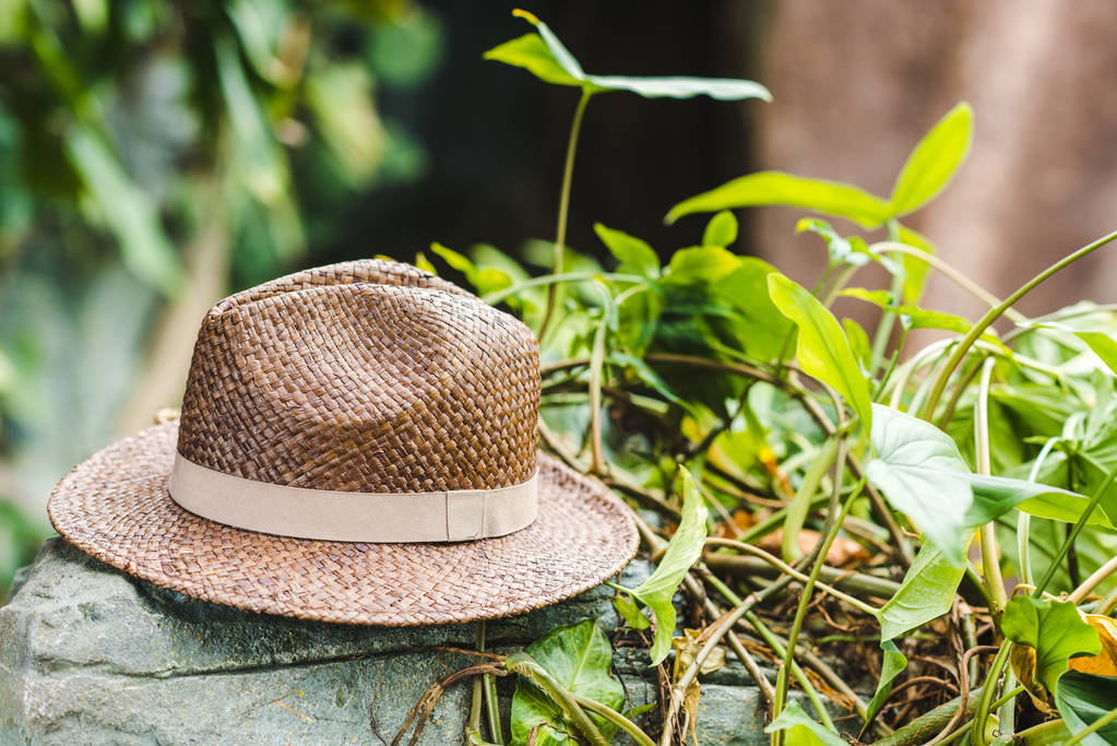 Винтажная соломенная шляпа на скале в джунглях
 - Фото, изображение