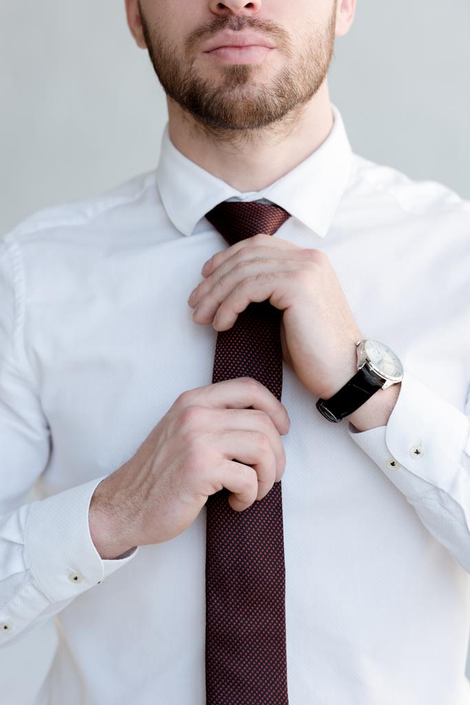 recortado vista de hombre de negocios en corbata y ver posando cerca de pared blanca
 - Foto, Imagen
