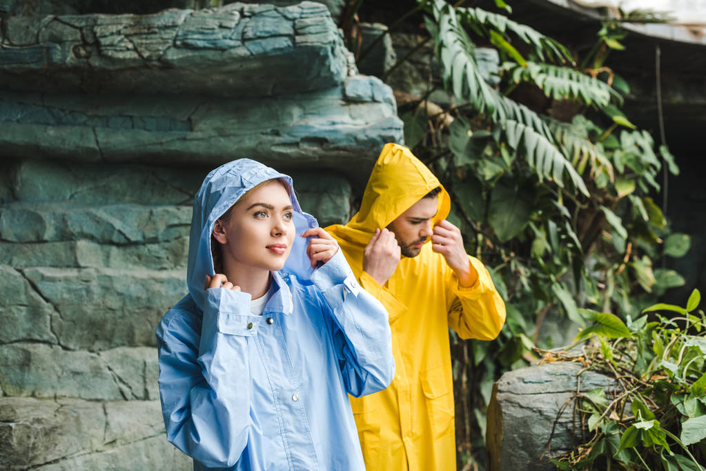 όμορφο νεαρό ζευγάρι με κουκούλα σε αδιάβροχα στη ζούγκλα - Φωτογραφία, εικόνα
