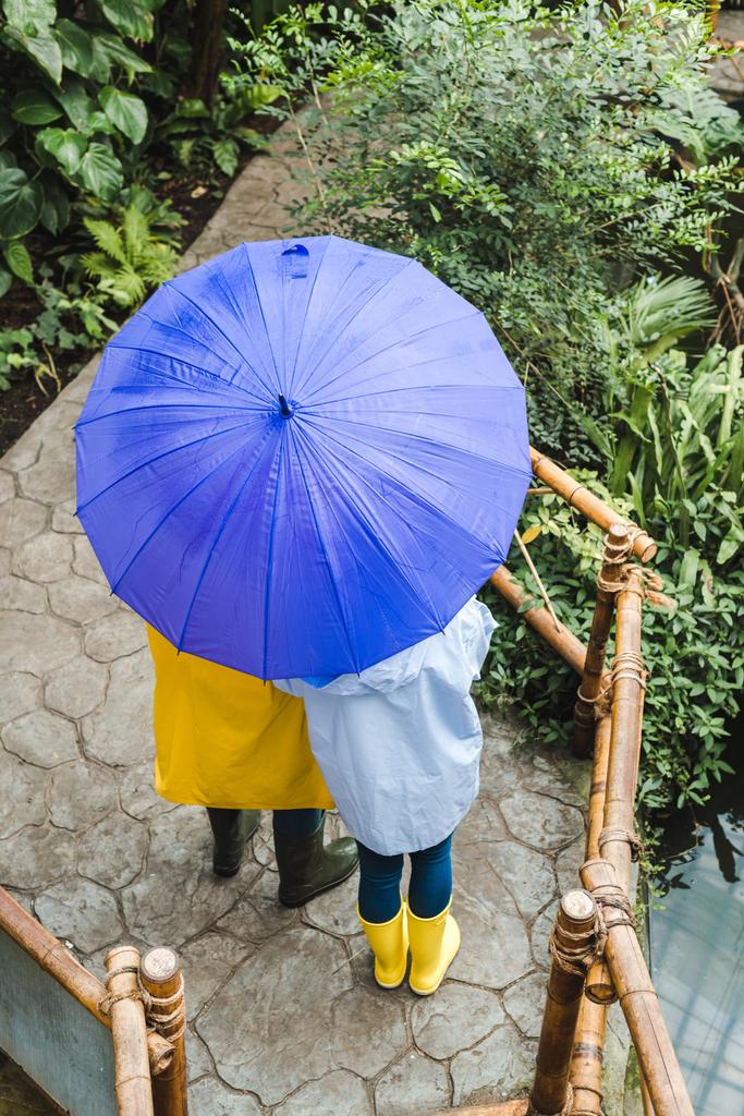 hoge hoekmening van paar in regenjassen onder paraplu op park met exotische planten - Foto, afbeelding