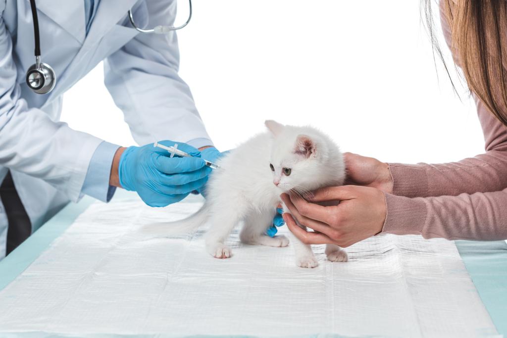 oříznutý obraz ženy držící kitten zároveň veterinář dělá injekce injekční stříkačkou izolovaných na bílém pozadí - Fotografie, Obrázek