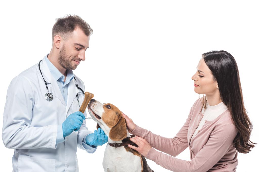 νεαρή γυναίκα εκμετάλλευση beagle ενώ κτηνίατρος δίνοντας του οστού που απομονώνονται σε λευκό φόντο - Φωτογραφία, εικόνα