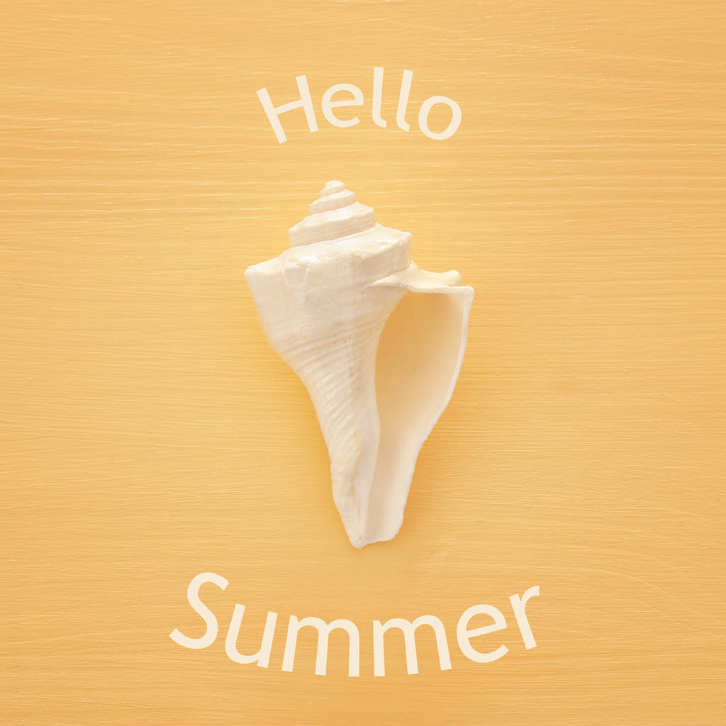 férias e imagem de verão com conchas sobre fundo de madeira amarelo
. - Foto, Imagem