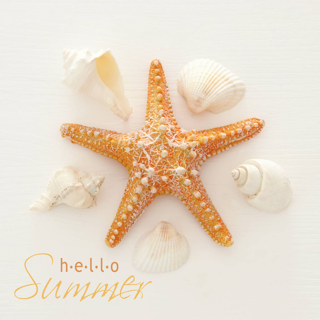 vacances et image d'été avec étoile de mer et coquillages sur fond blanc en bois
. - Photo, image