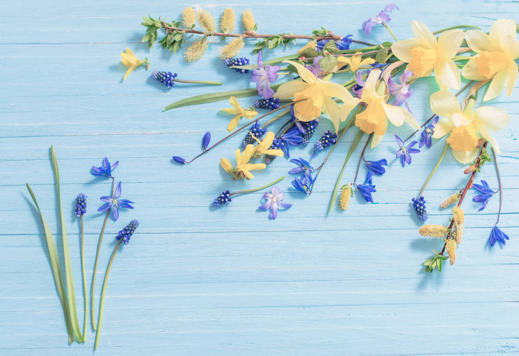 flores de primavera amarillas y azules sobre fondo de madera
 - Foto, imagen