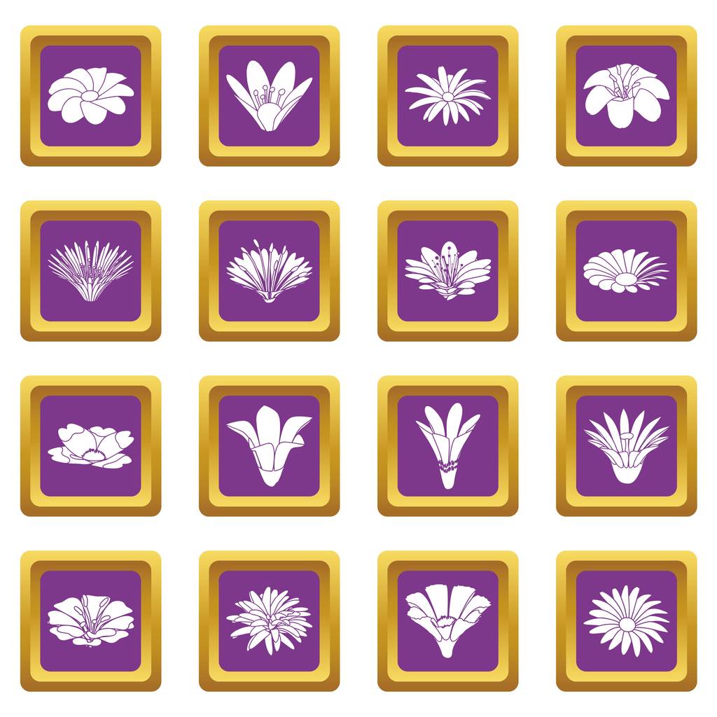Icônes de fleurs détaillées ensemble vecteur carré violet
 - Vecteur, image