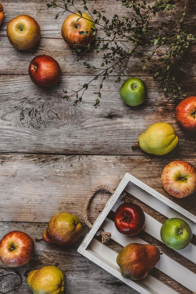 Груши и яблоки
 - Фото, изображение