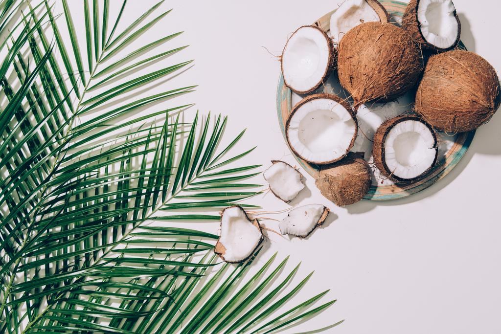 top view of gourmet organic coconuts and green palm leaves on white  - Photo, Image