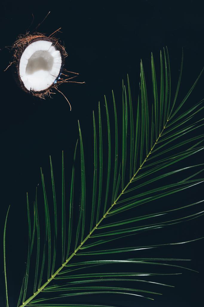 mitad de sabroso coco sano y hojas de palma verde en negro
 - Foto, Imagen