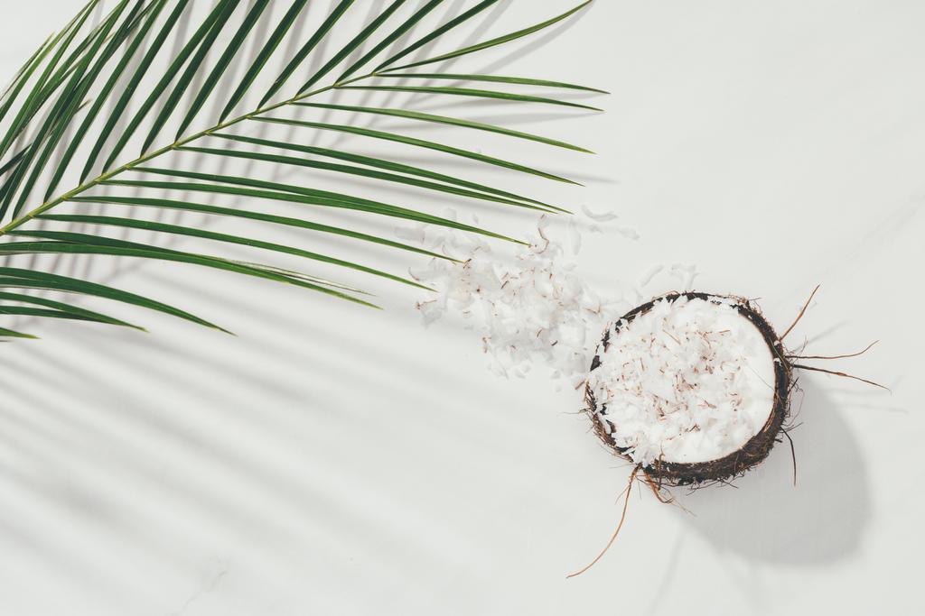 half of coconut with shavings and green palm leaves on white - Photo, Image
