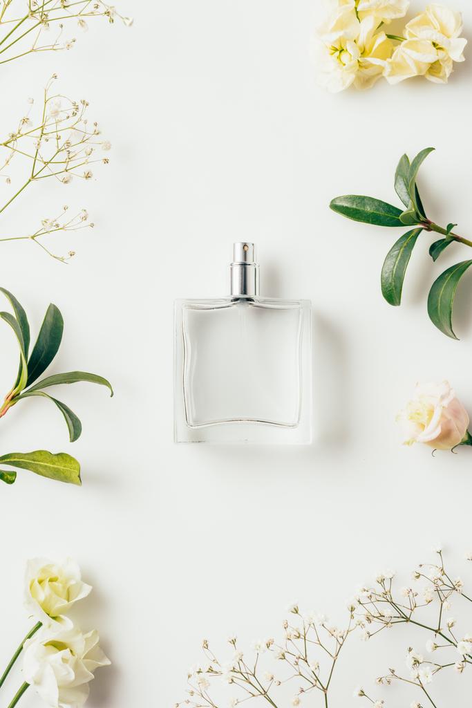 pohled shora na parfém s květy a zelené větvičky na bílém - Fotografie, Obrázek