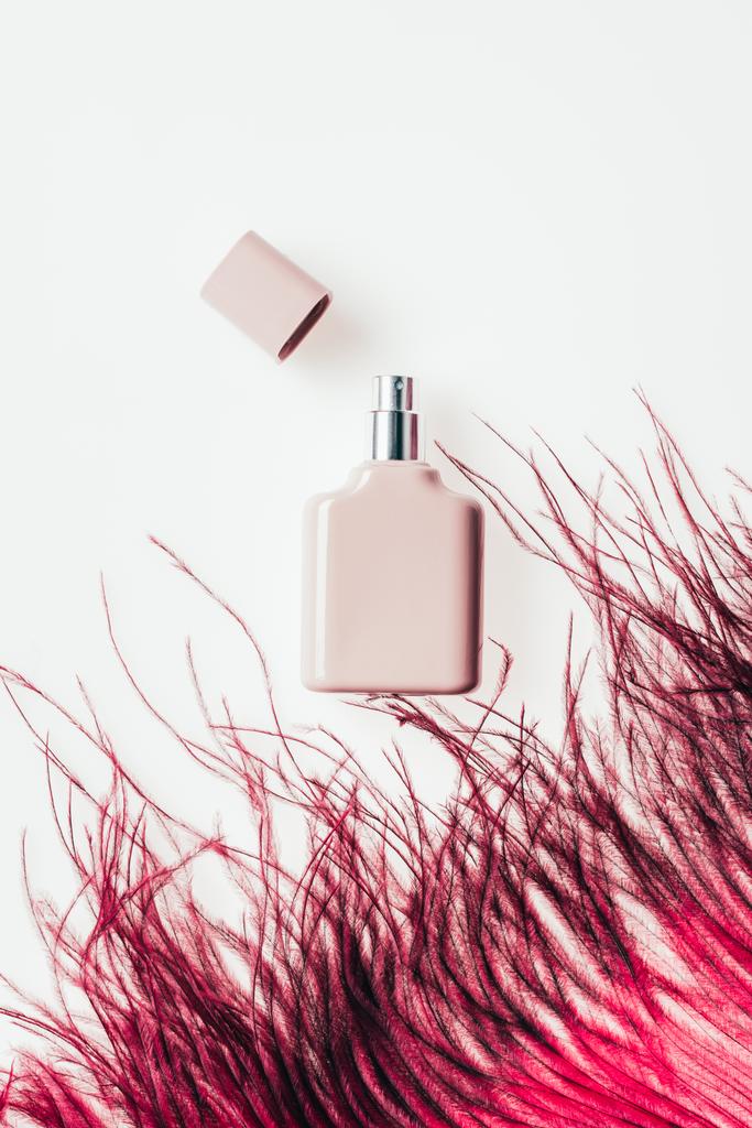 bovenaanzicht van fles parfum met rode veren op wit - Foto, afbeelding