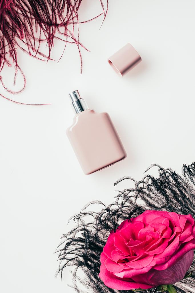羽と白にピンクのバラの香水のボトルのトップ ビュー - 写真・画像