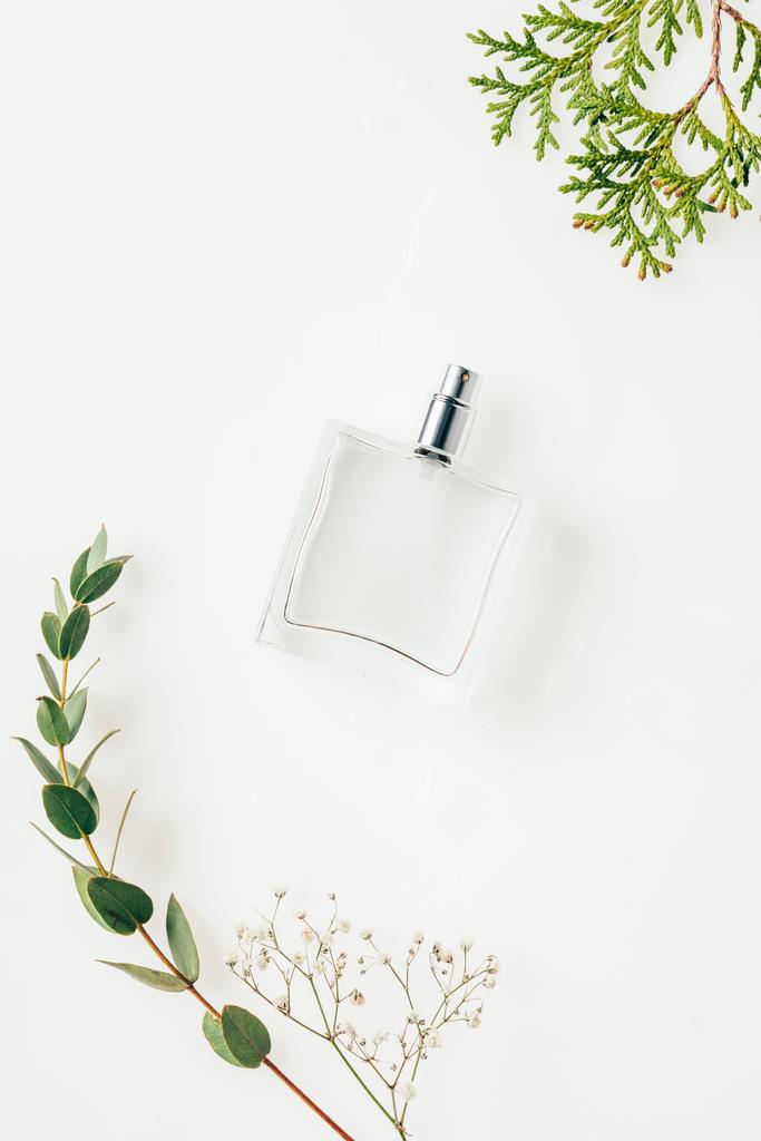 yeşil dallar ile parfüm şişe üstten görünüm beyaz - Fotoğraf, Görsel